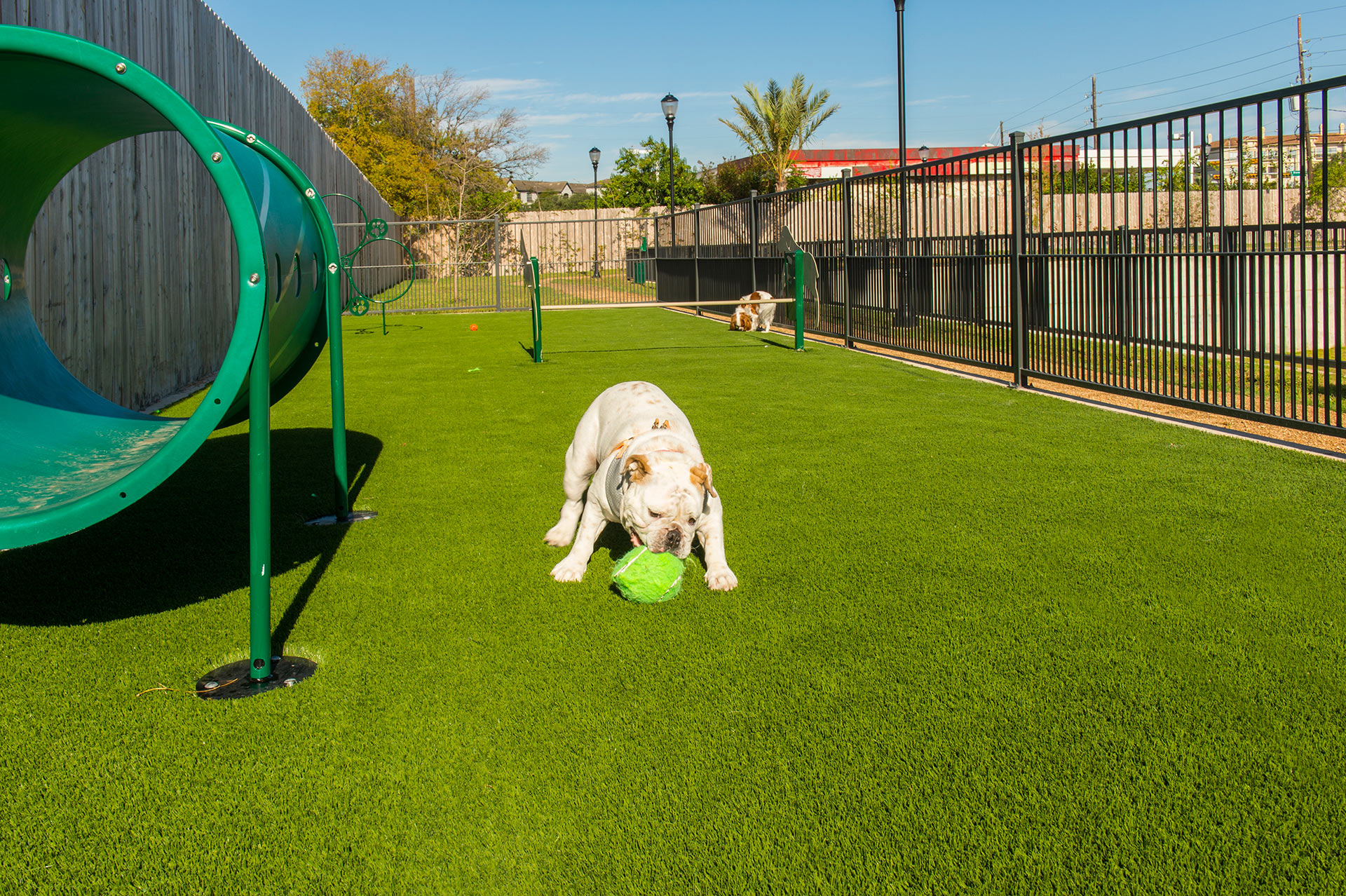 humphreys partners architects millenium kirby dog park