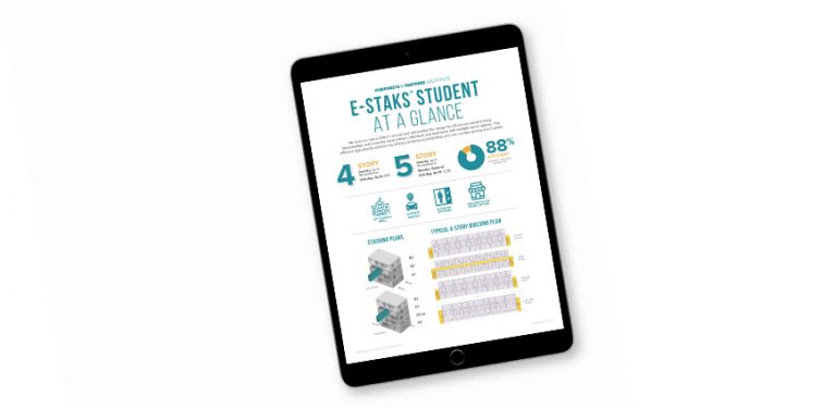 Analysis - E-Staks® Student Fact Sheet