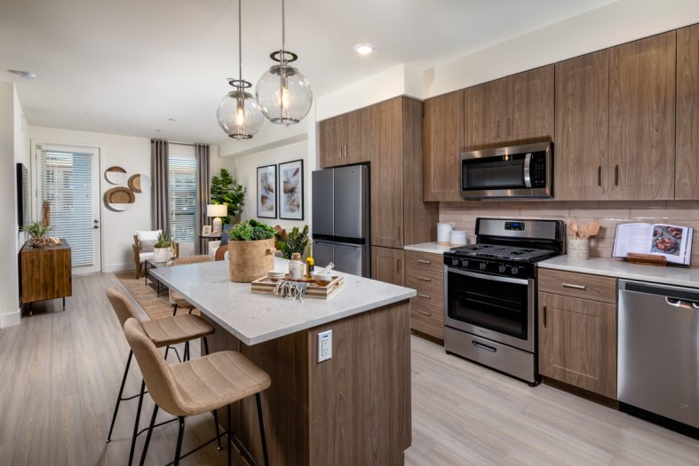 GS_RCV_Ph_II_One_Bed_Kitchen_Living