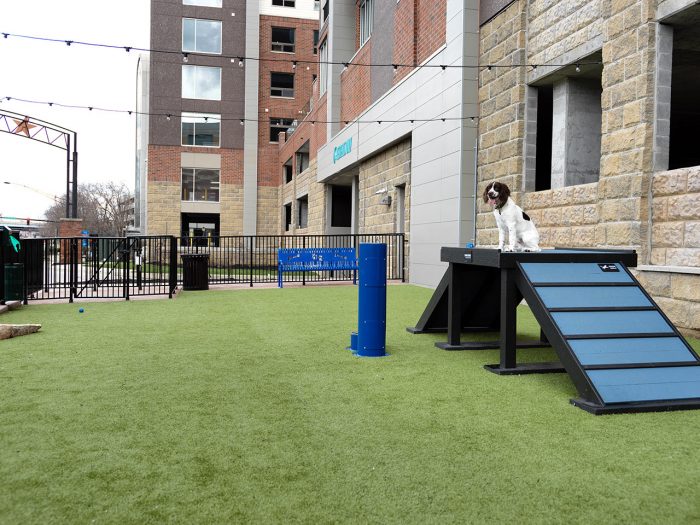 Humphreys Partners Architects Aqua on the Levee Dog Park
