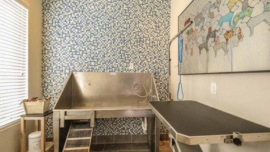 Humphreys Partners Architects Aurora Residences Dog Wash