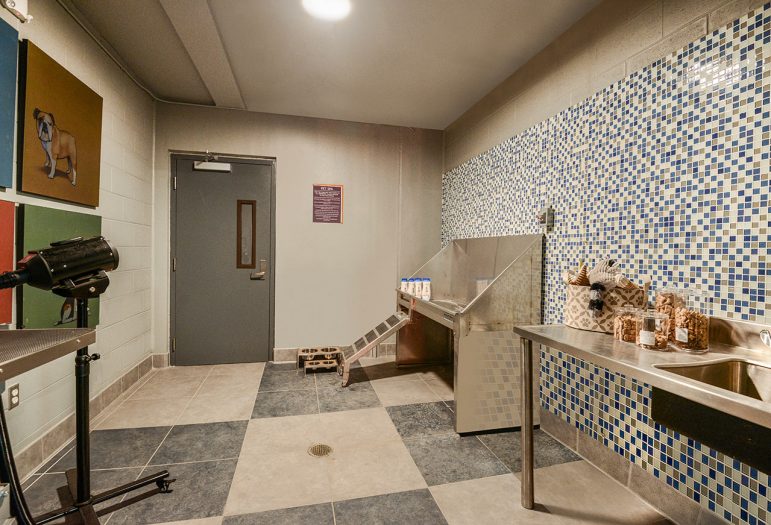 Humphreys Partners Architects Grady Square Dog Wash