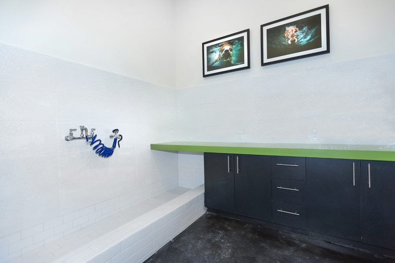 Humphreys Partners Architects Sea Glass Dog Wash