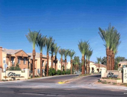 The Greens | Chandler, AZ