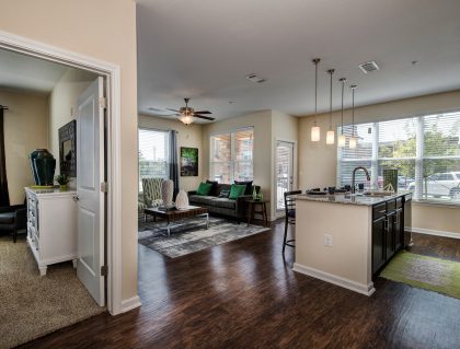 Watermark at Harmony | Spring, Texas